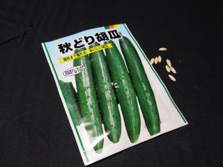 f0130894_21184527.jpg