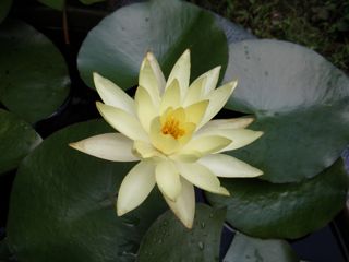 f0130894_21283771.jpg
