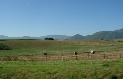 d0129295_2273761.jpg