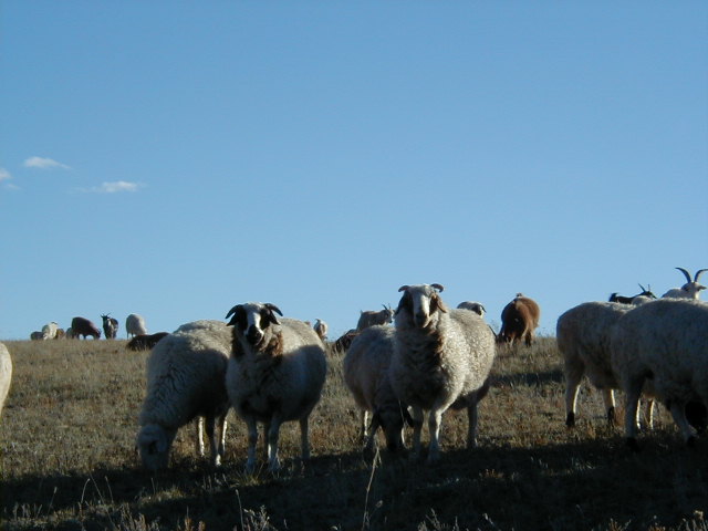 d0029596_173819.jpg