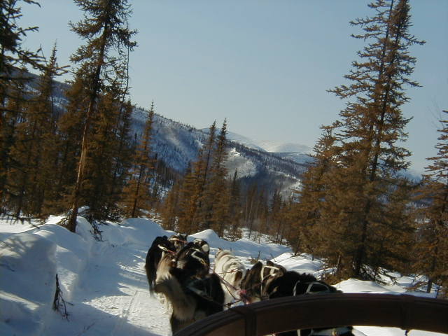 d0029596_18311.jpg