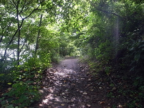 e0043700_22161154.jpg