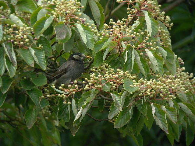 c0079001_20501470.jpg