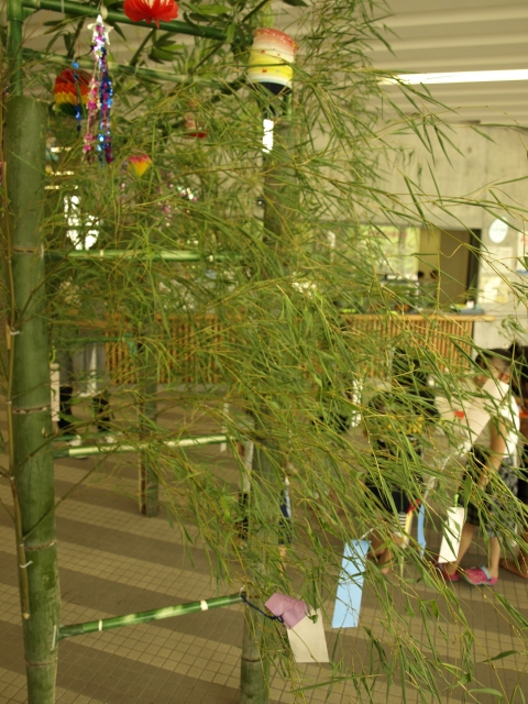 f0020302_2254573.jpg
