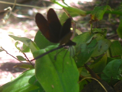 f0146802_1813490.jpg