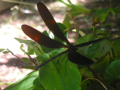 f0146802_18144656.jpg