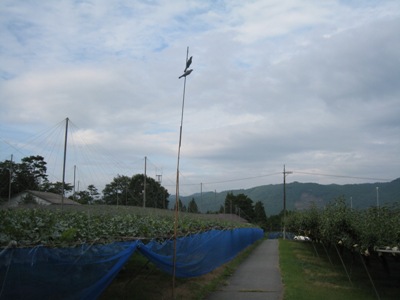 d0116205_2219955.jpg
