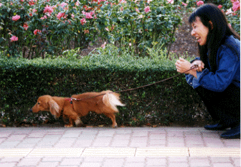 e0179308_0435427.gif