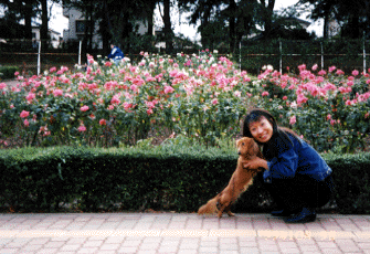 e0179308_0442724.gif