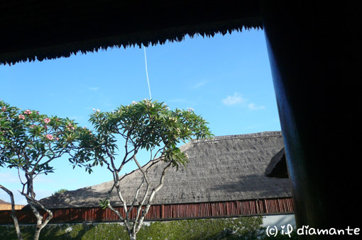 e0071409_14105763.jpg
