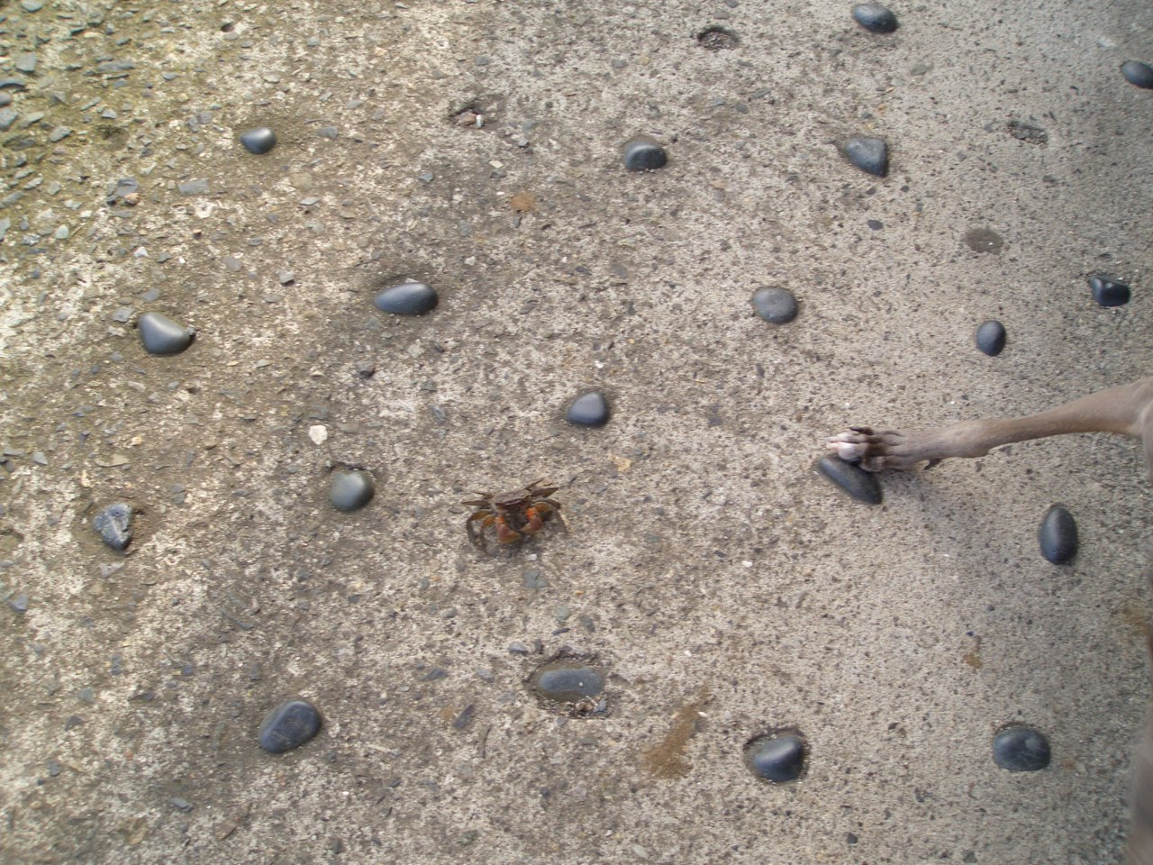 e0141909_22152462.jpg