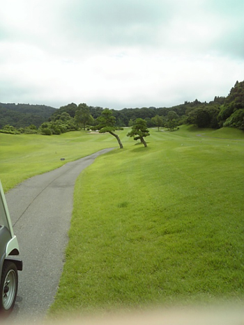f0098210_16405674.jpg