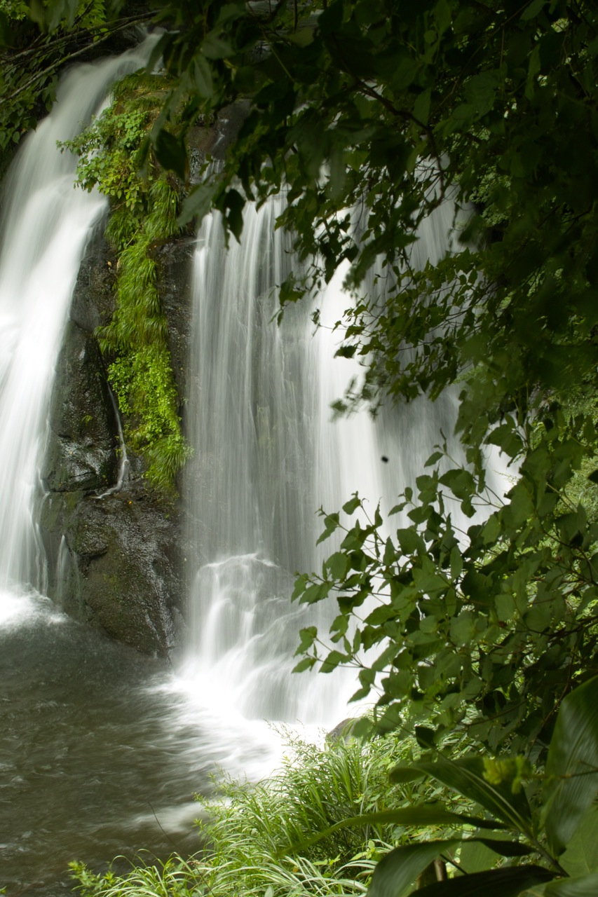 b0137311_211348.jpg