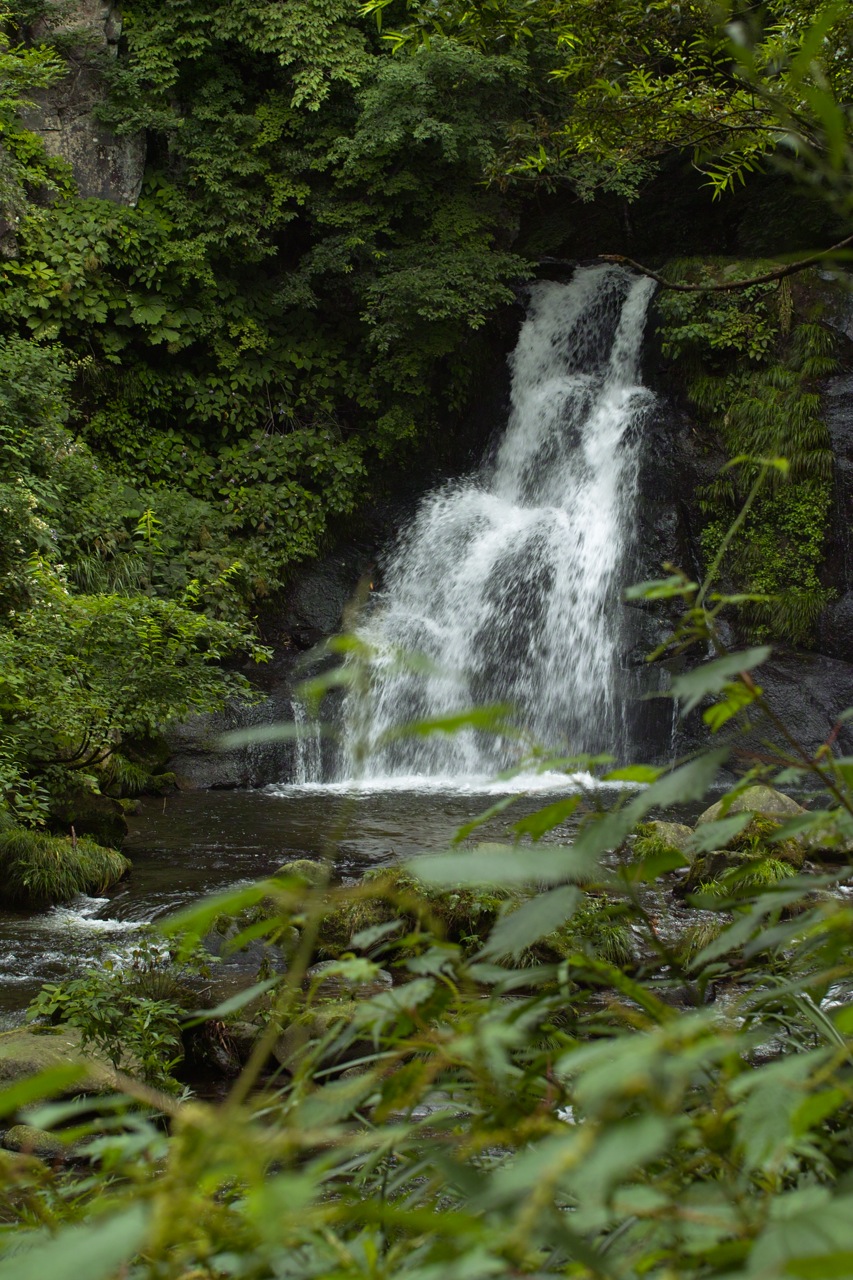 b0137311_21171969.jpg