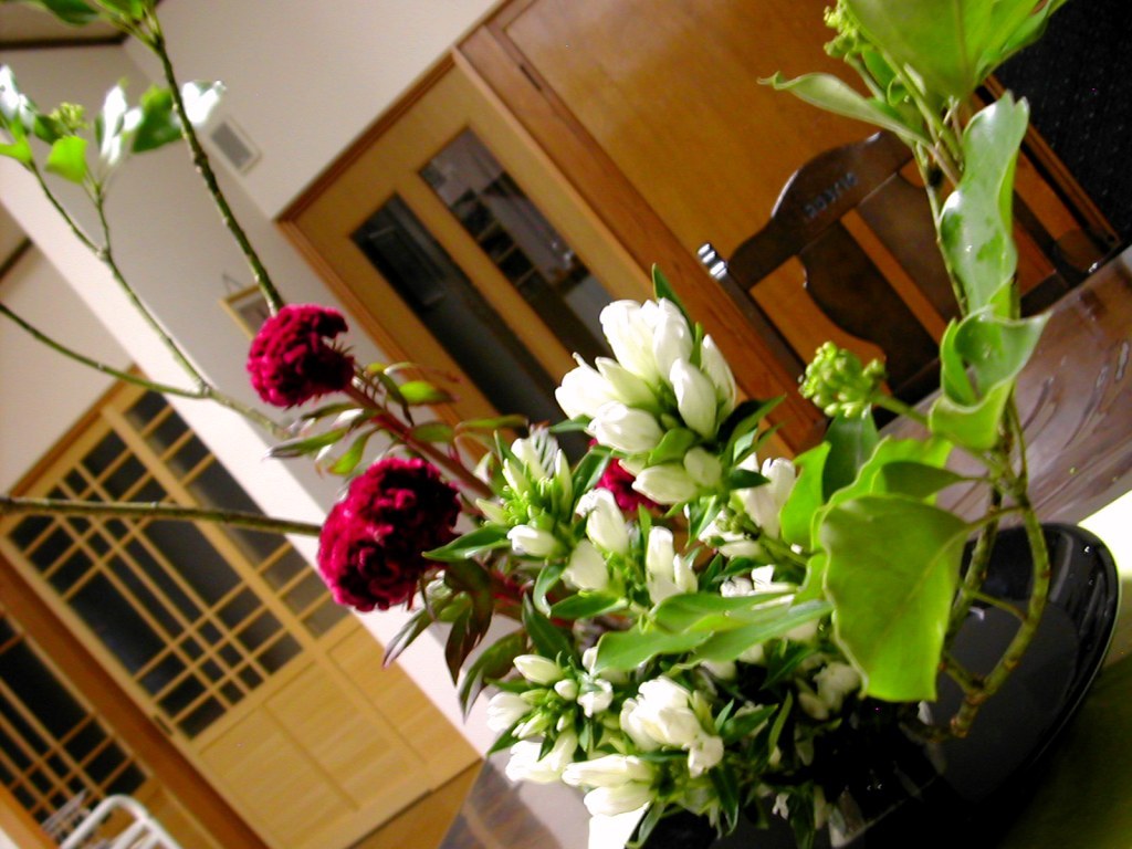 a0102824_2320345.jpg