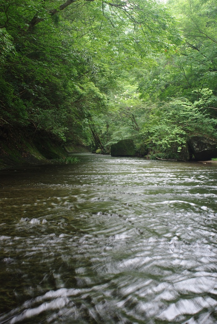 c0180824_23561128.jpg
