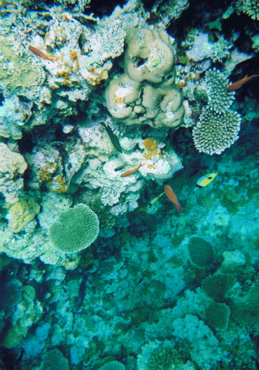 f0098728_0182551.jpg