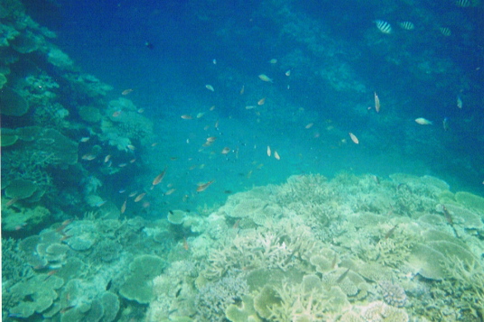 f0098728_018918.jpg