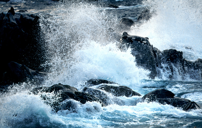 d0147530_17511517.jpg