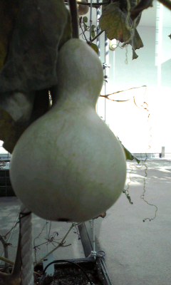 f0064432_22214823.jpg