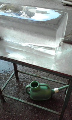 f0064432_2221484.jpg