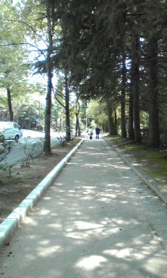 f0064432_22214860.jpg