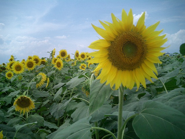 c0114833_17414332.jpg