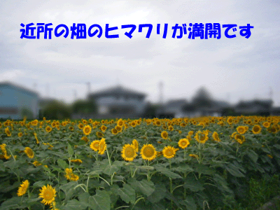 f0008935_23301926.gif