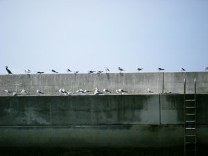 c0069036_23121783.jpg