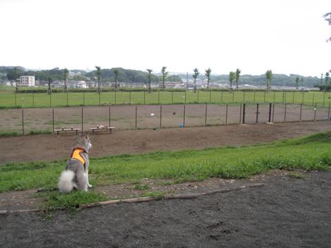 e0143442_20452569.jpg