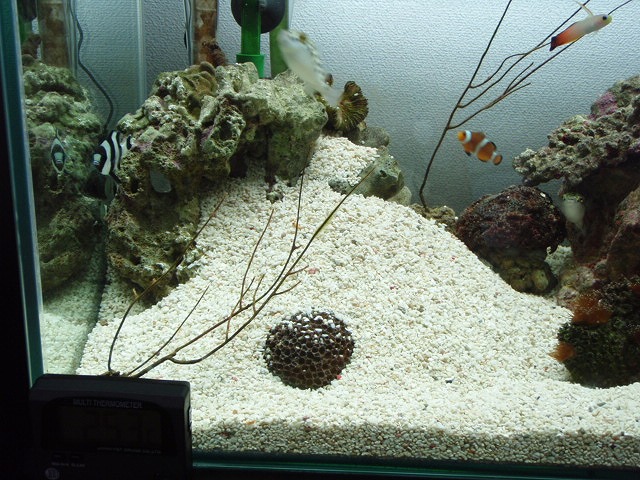 e0187443_23171985.jpg