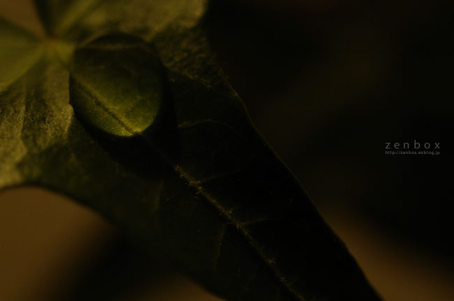 e0179644_16135210.jpg
