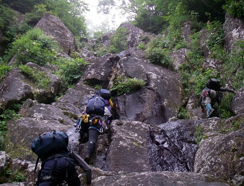 c0081645_21433539.jpg