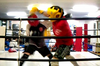 c0017046_2341663.jpg