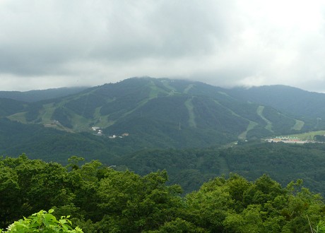 c0057946_2044264.jpg
