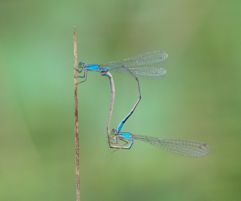 b0147449_140409.jpg