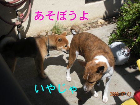 f0200756_1447015.jpg