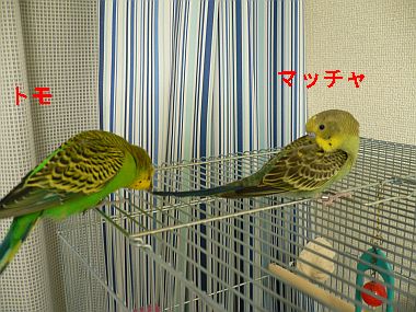 f0196665_13411730.jpg