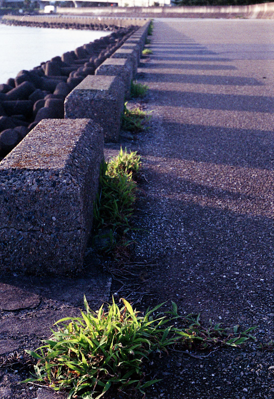 c0084666_15512988.jpg