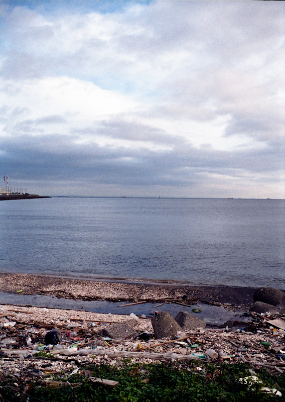 c0084666_15514759.jpg