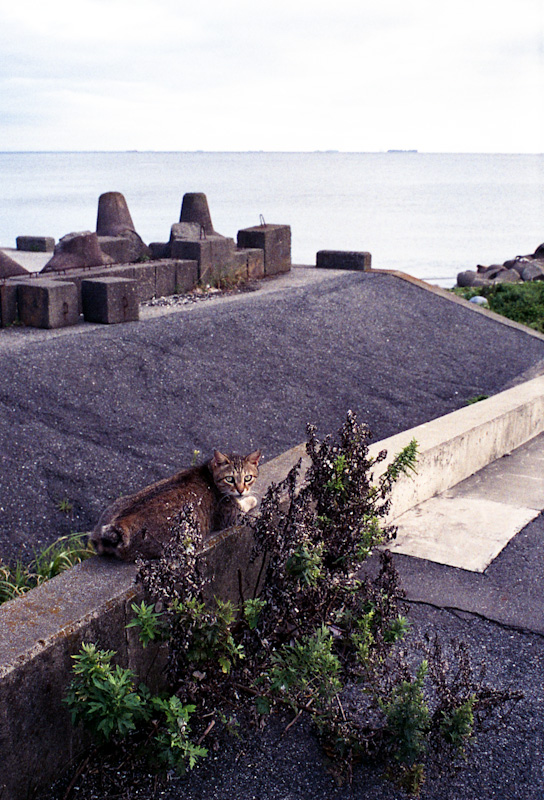 c0084666_15515436.jpg