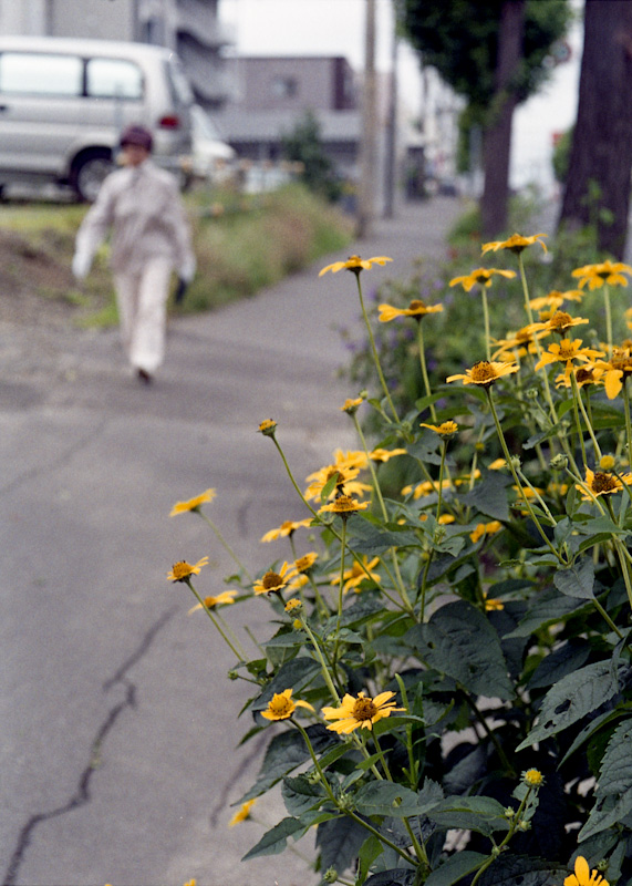 c0084666_22285780.jpg