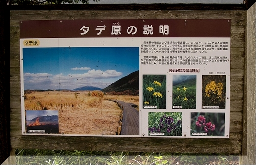 d0102968_14353949.jpg