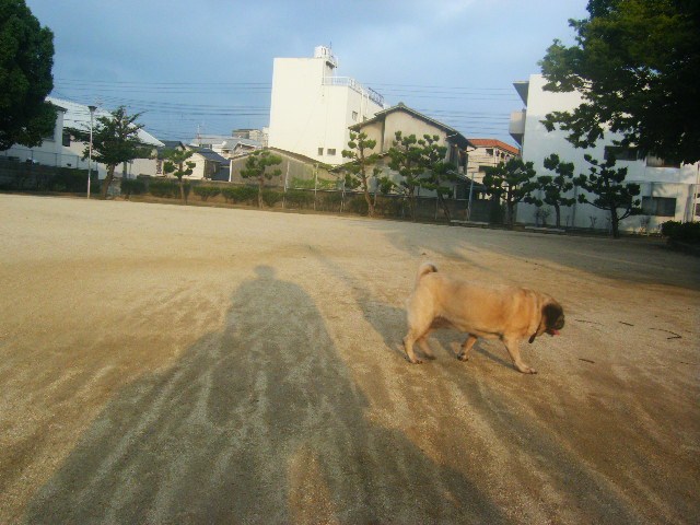 f0207970_23105287.jpg