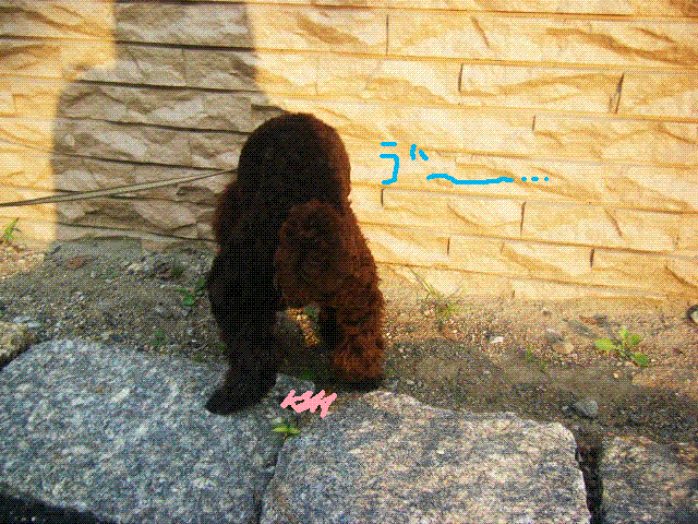 f0207970_2334135.gif