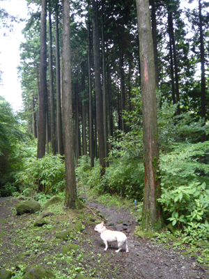 d0041074_20515629.jpg