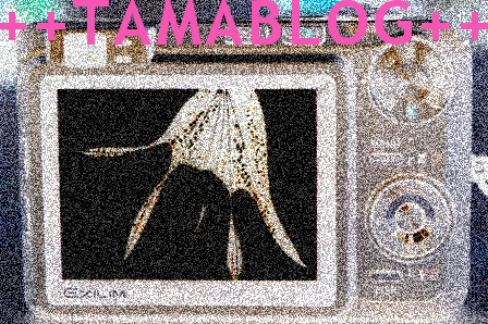a0013479_0121292.jpg