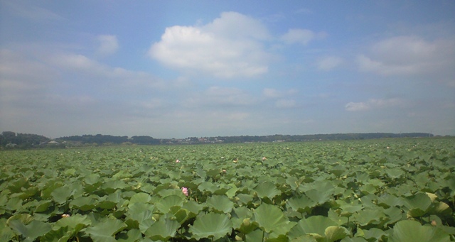 a0091680_22472767.jpg