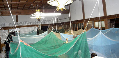 b0029488_23342353.jpg
