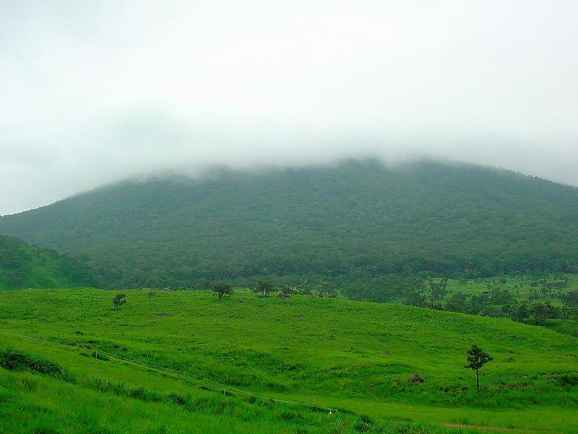 b0177493_20245038.jpg